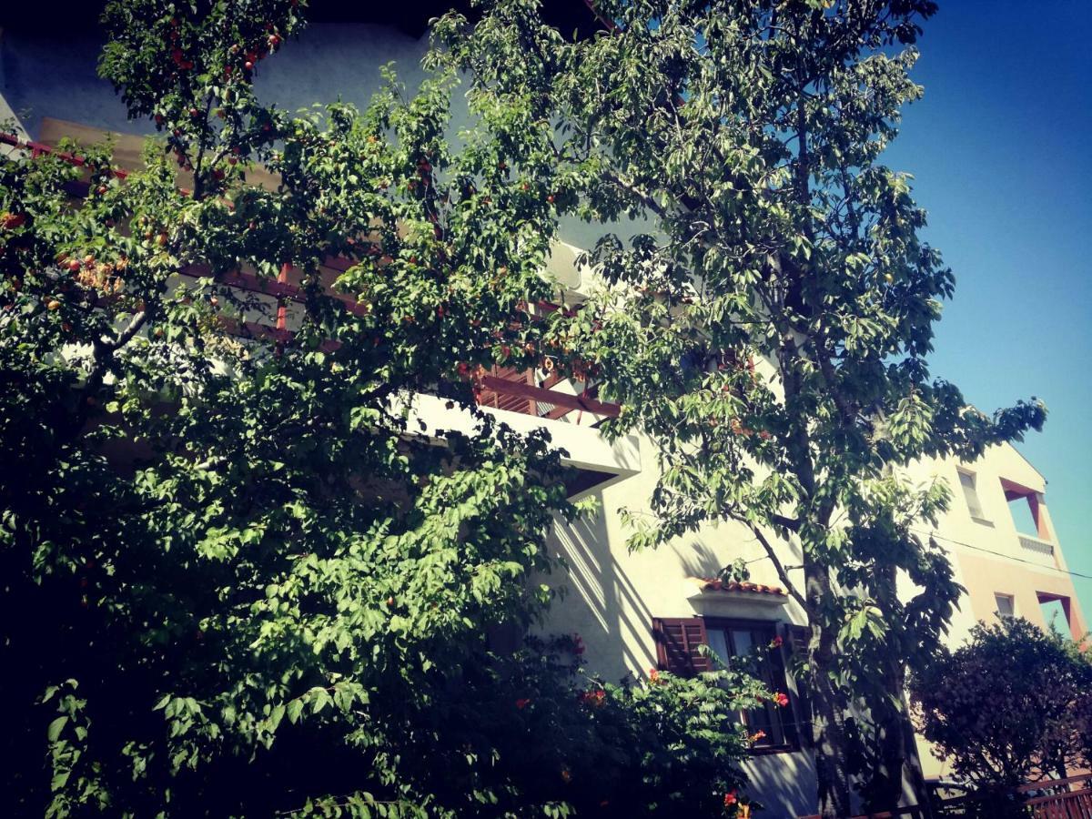 Sukošan Villa Letina מראה חיצוני תמונה