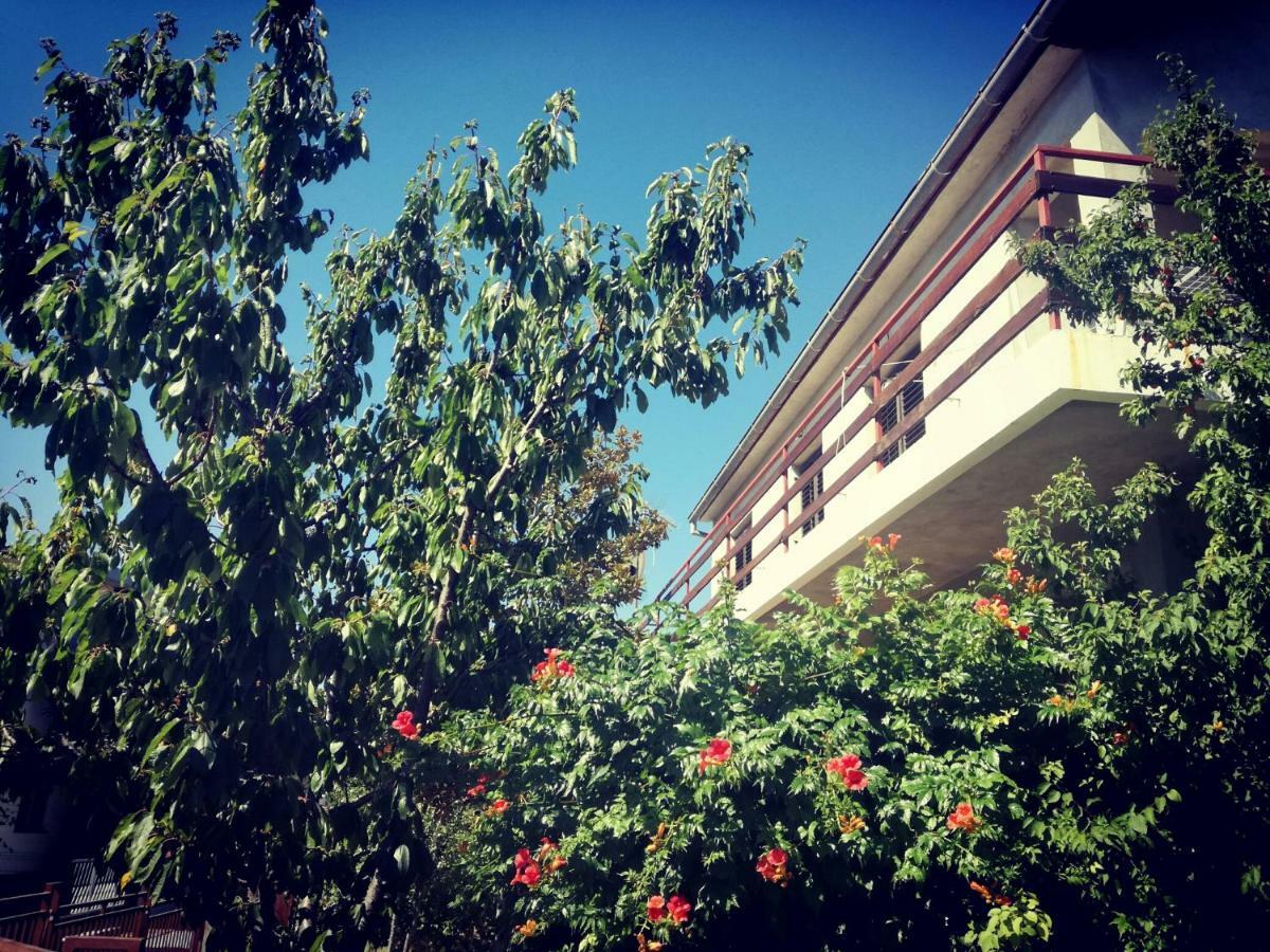 Sukošan Villa Letina מראה חיצוני תמונה